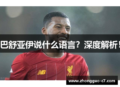 巴舒亚伊说什么语言?深度解析! 巴舒亚伊说什么语言?深度解析!